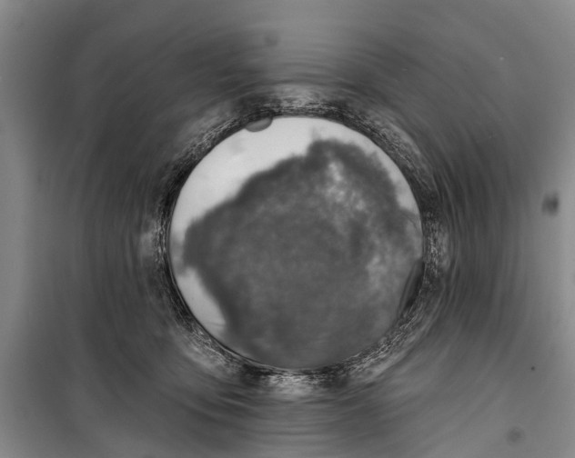 X0000098200419200805151233