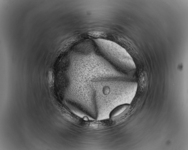 X0000098200420200805151233
