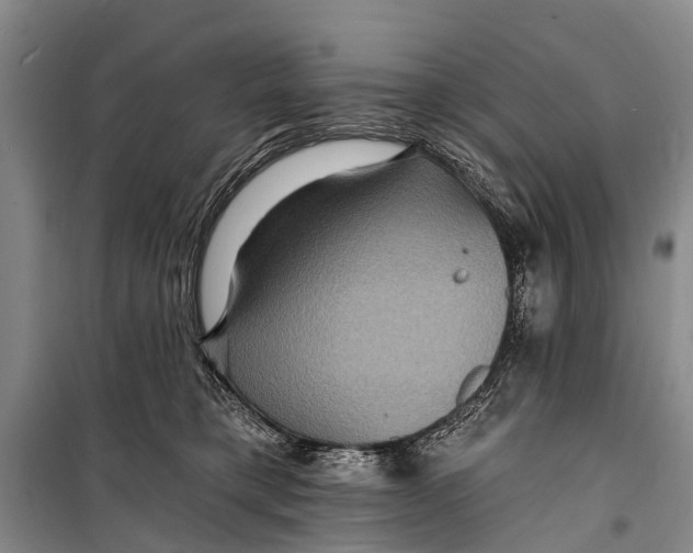 X0000098200421200805151233
