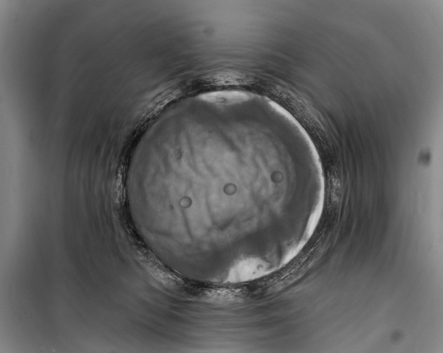 X0000098200422200805151233