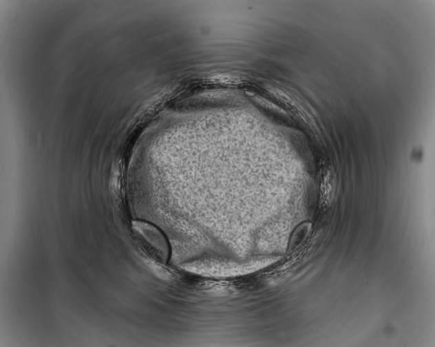 X0000098200424200805151233