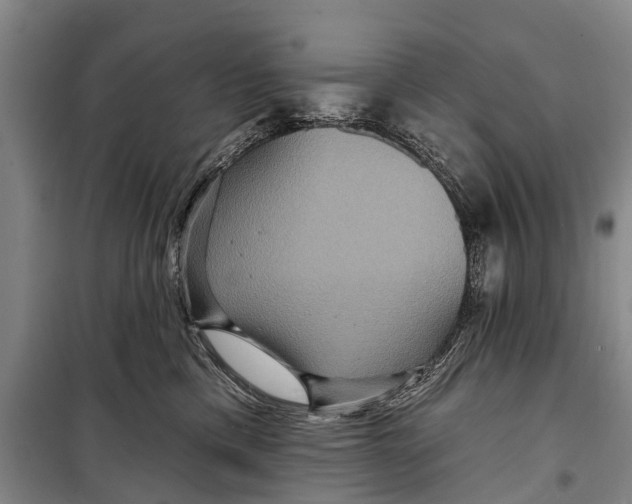 X0000098200425200805151233