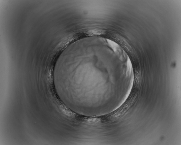 X0000098200426200805151233