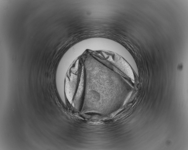 X0000098200427200805151233