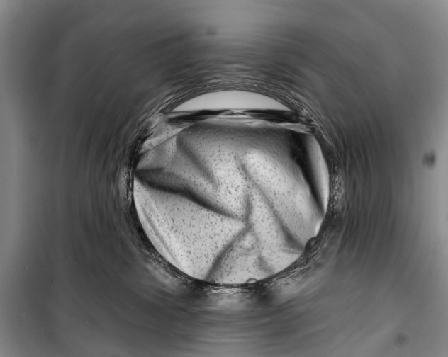 X0000098200428200805151233