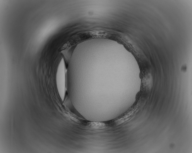 X0000098200429200805151233