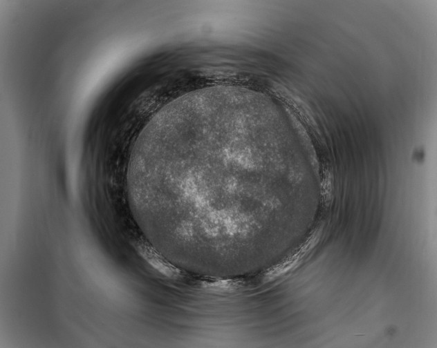 X0000098200430200805151233
