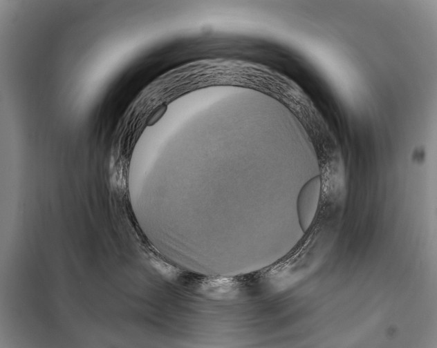 X0000098200431200805151233