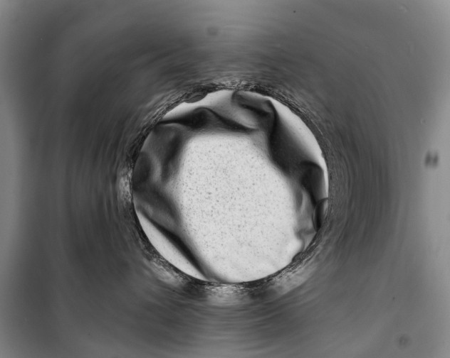 X0000098200432200805151233