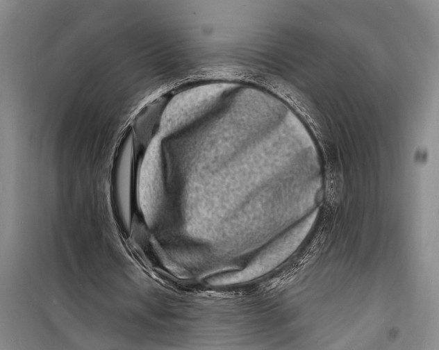 X0000098200434200805151232