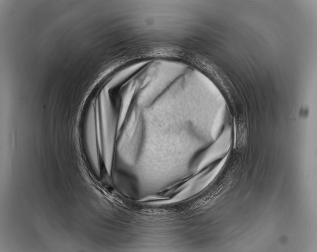 X0000098200435200805151232