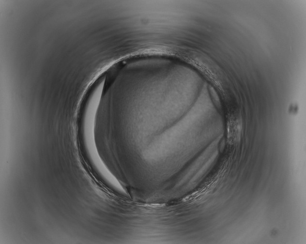 X0000098200436200805151232