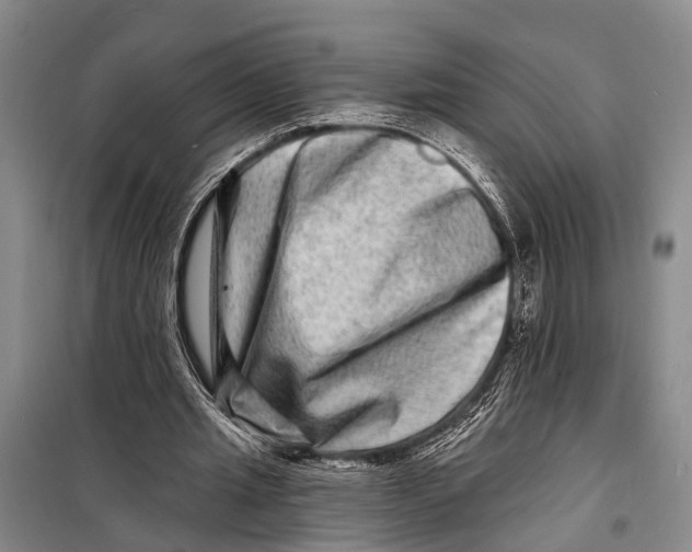 X0000098200437200805151232