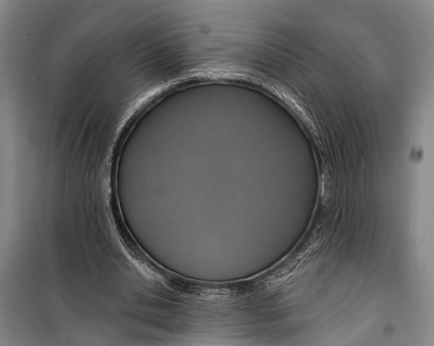 X0000098200438200805151232