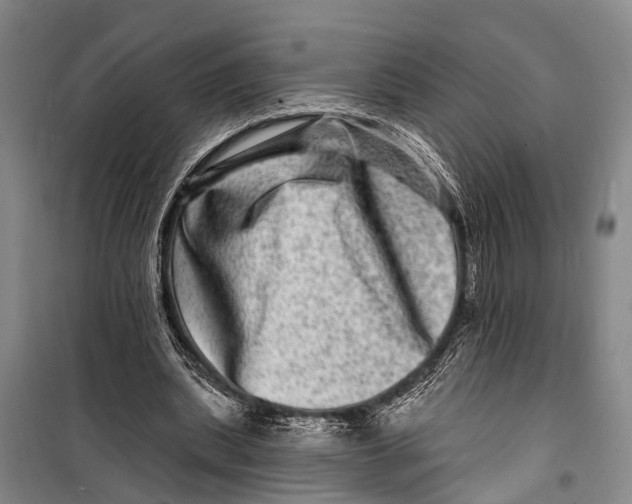 X0000098200439200805151232