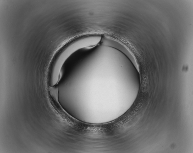 X0000098200440200805151232
