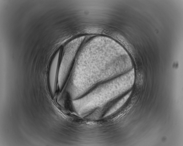 X0000098200441200805151232