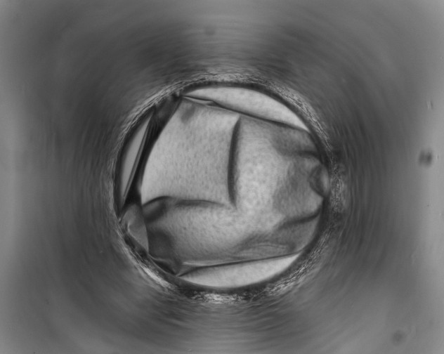 X0000098200442200805151232