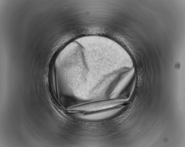 X0000098200443200805151232