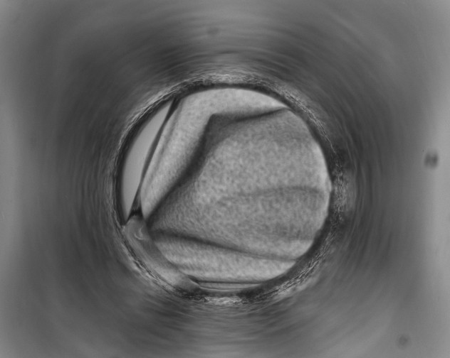 X0000098200446200805151232