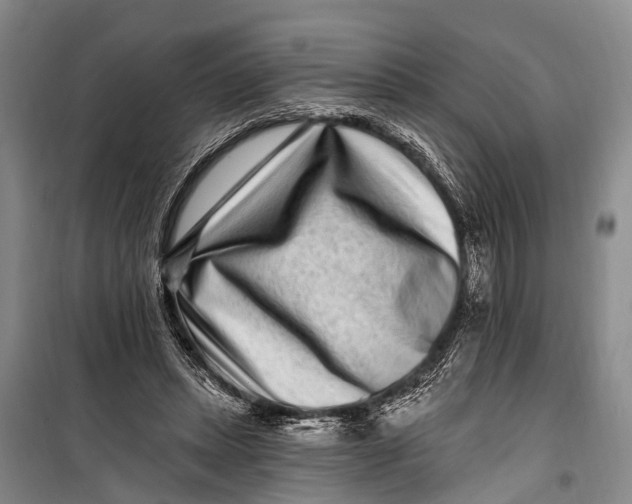 X0000098200447200805151232