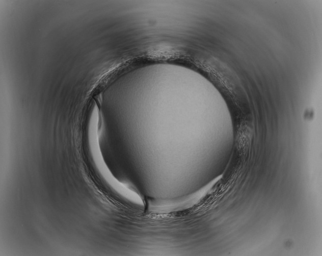 X0000098200448200805151232