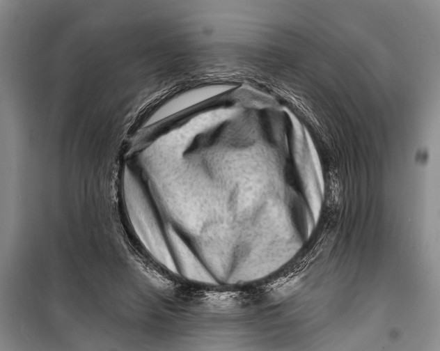 X0000098200450200805151232
