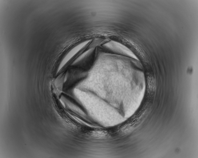 X0000098200451200805151232