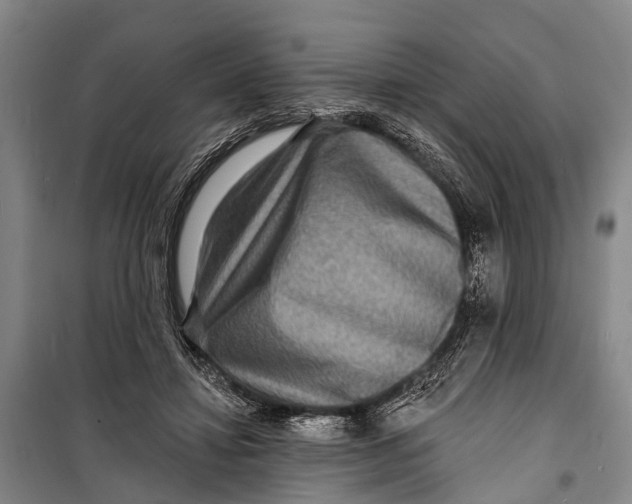 X0000098200452200805151232