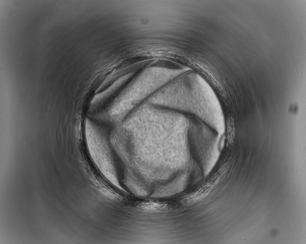 X0000098200453200805151232