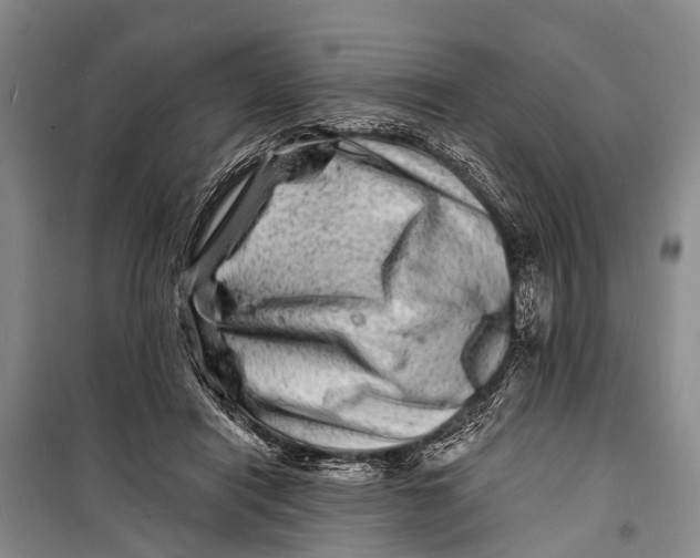 X0000098200454200805151232