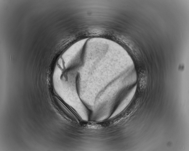 X0000098200455200805151232
