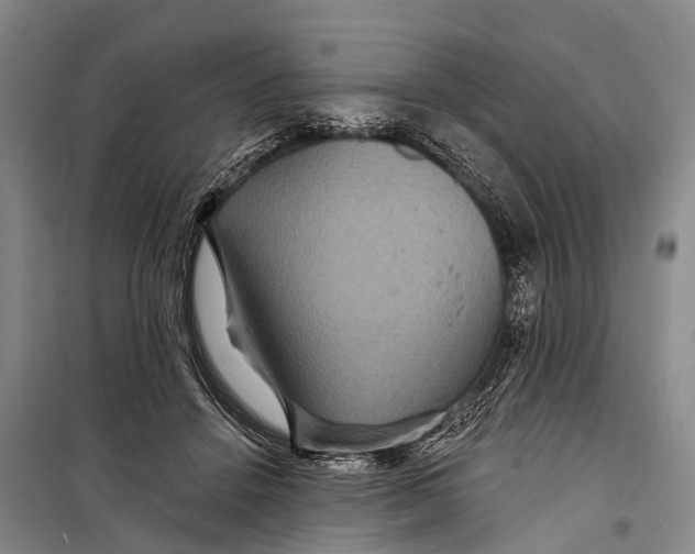X0000098200456200805151233