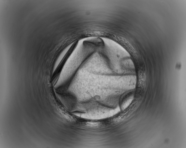 X0000098200457200805151233