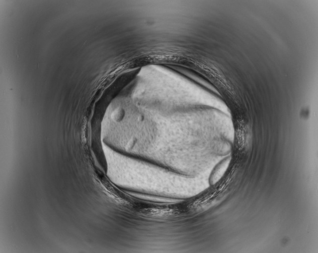 X0000098200458200805151233