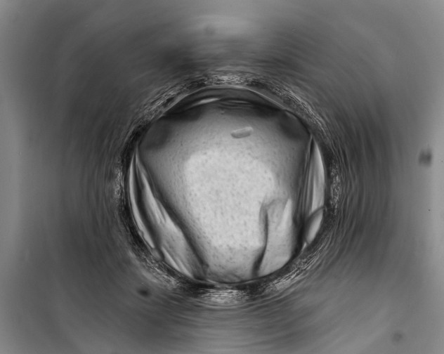 X0000098200459200805151233