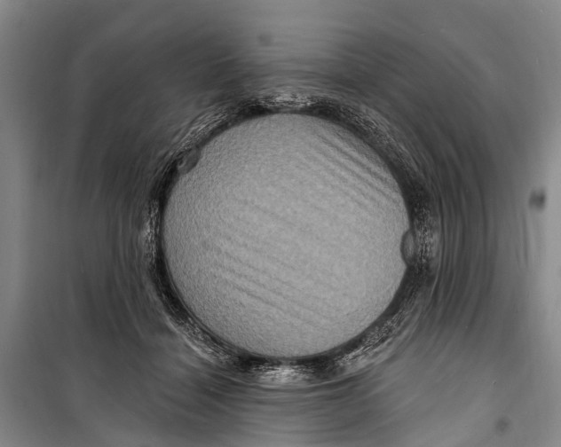 X0000098200460200805151233