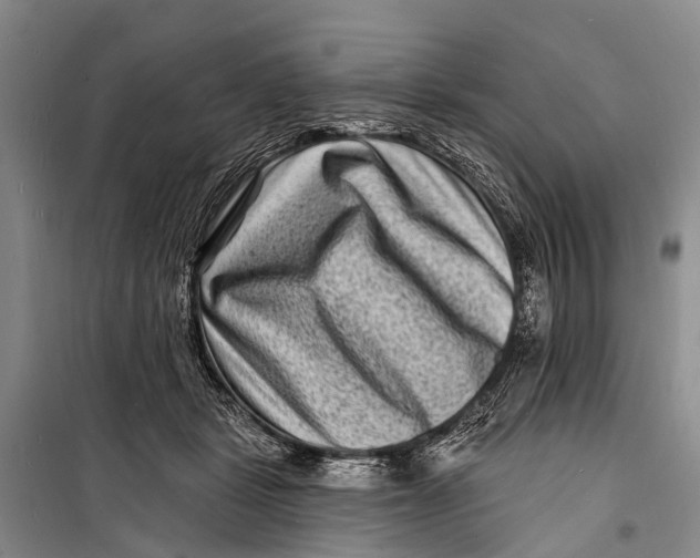 X0000098200461200805151233