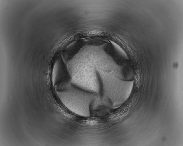 X0000098200462200805151233