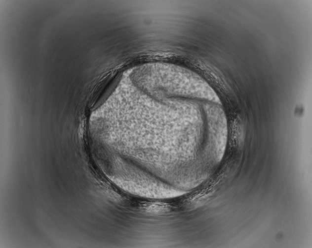 X0000098200463200805151233