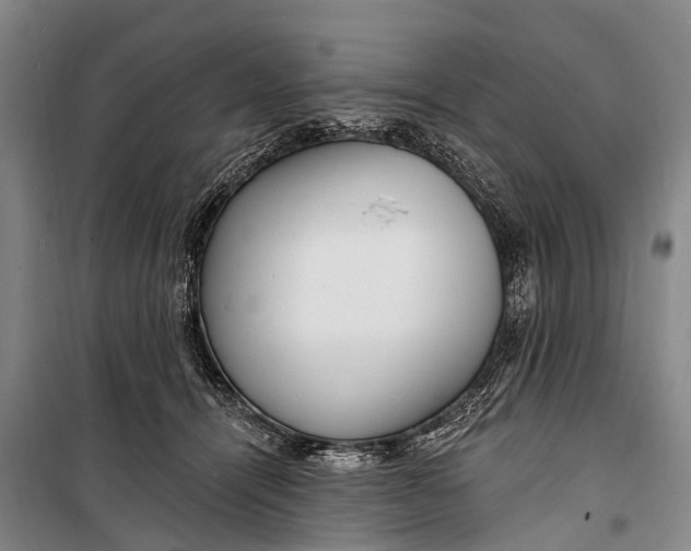 X0000098200464200805151233