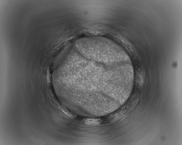 X0000098200465200805151233