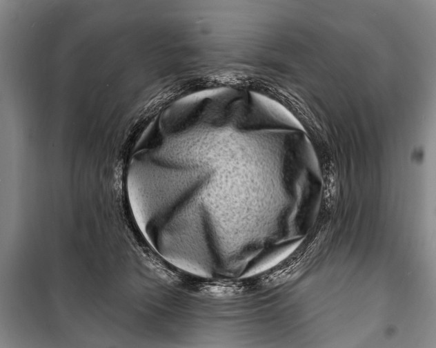 X0000098200466200805151233