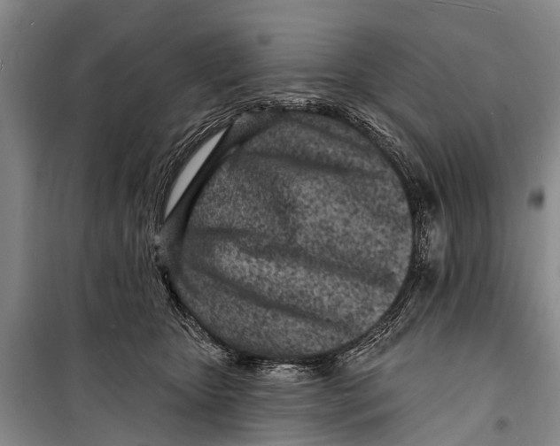 X0000098200467200805151233