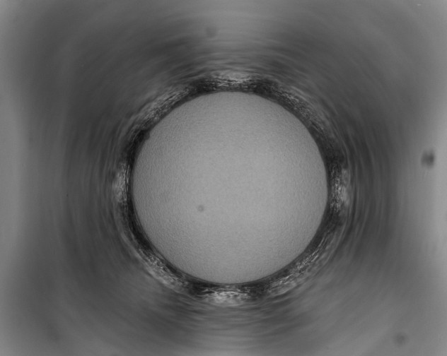 X0000098200468200805151233