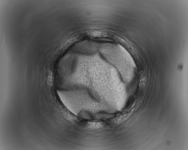 X0000098200469200805151233