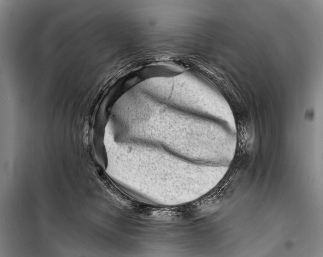 X0000098200470200805151233