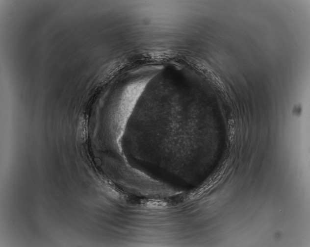 X0000098200471200805151233