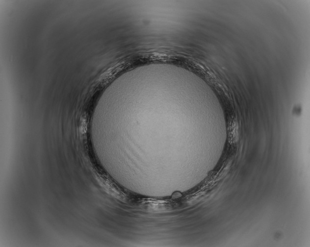 X0000098200472200805151233