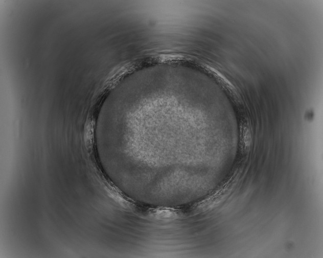 X0000098200475200805151233